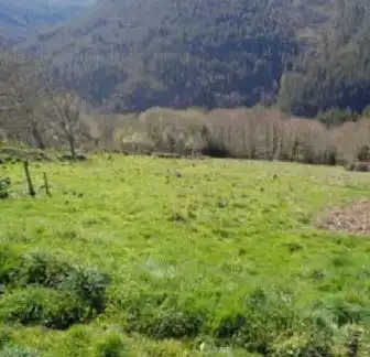 Land for sale in Santa Eulalia de Oscos