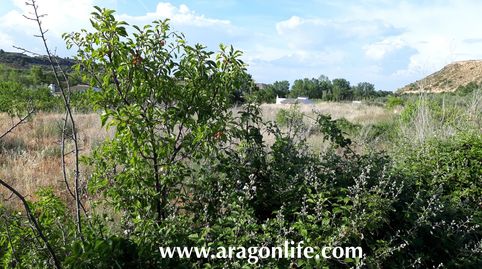 Finca cerca del río Matarraña, immagine 5