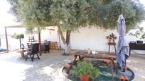 Garden of House or chalet for sale in Fogars de la Selva