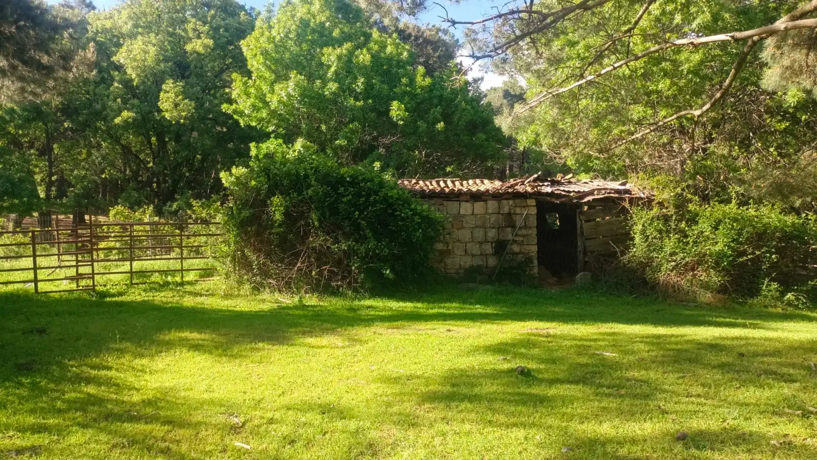 Terreny rústic en venda a Carretera de La Jarosa 1, imagen 9