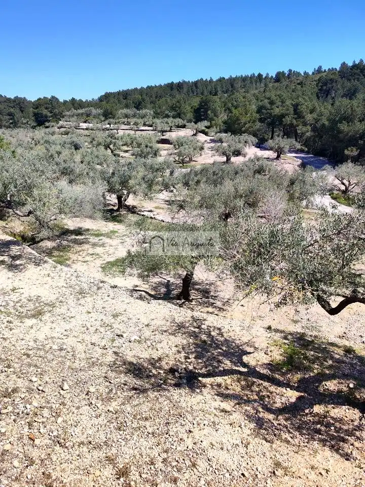 Country homes for sale in Tortosa