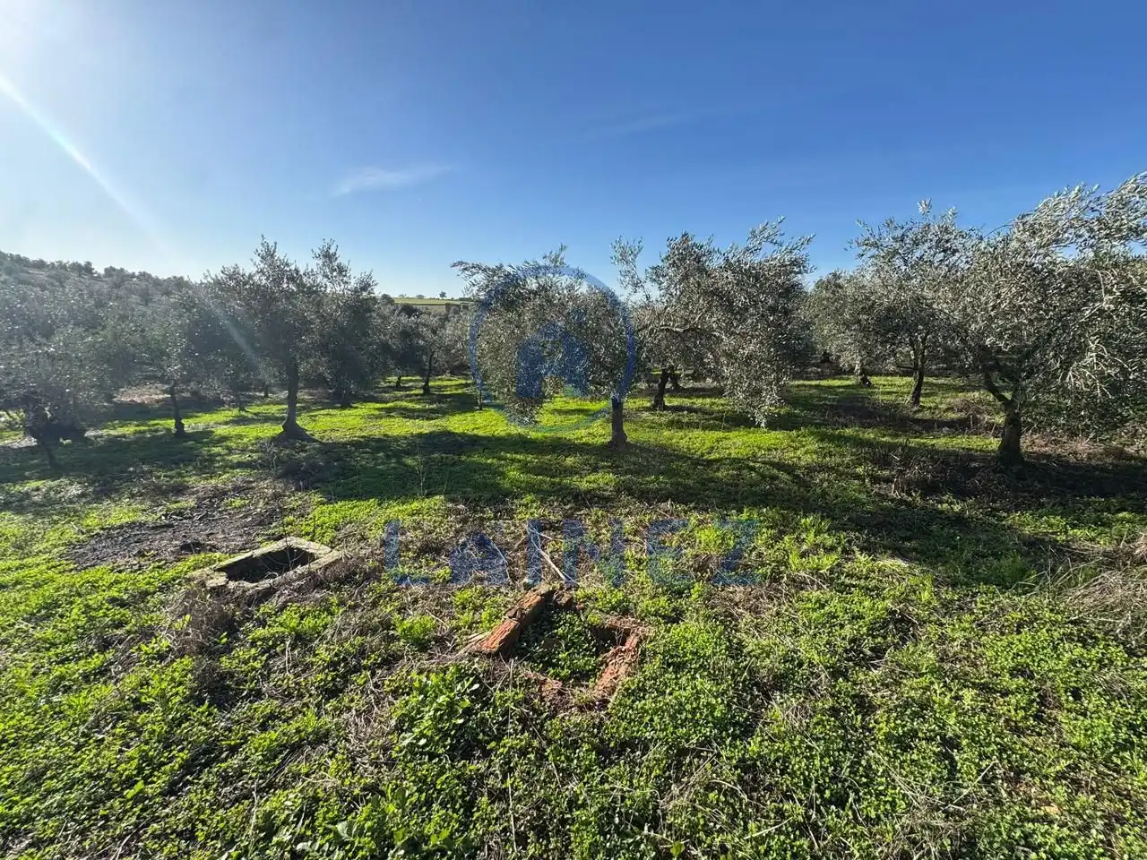Terreno en venta en La Granjuela