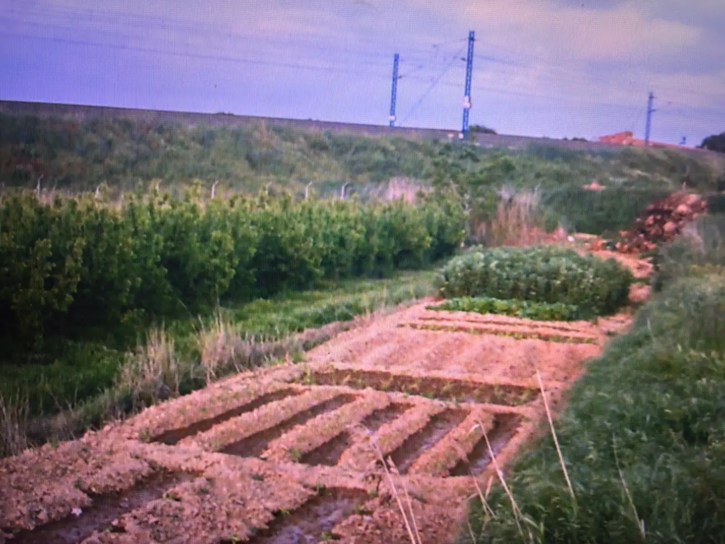 Jardín de Terreno en venta en Lleida