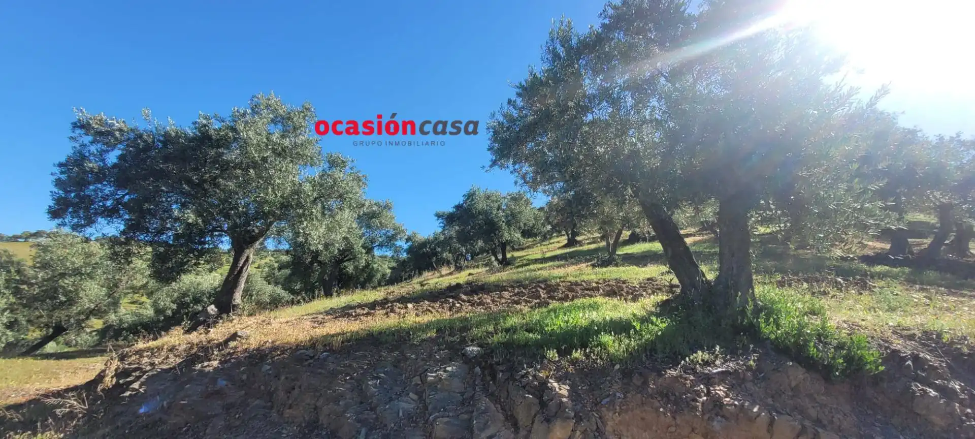 Casa rústica en venda a Pozoblanco, imagen 24