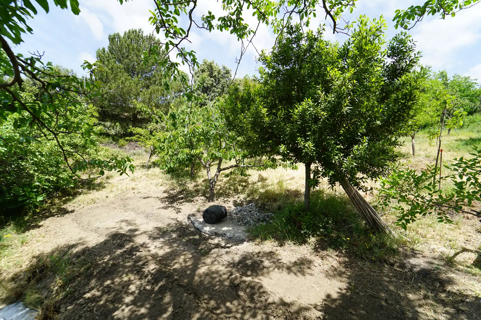 Finca rústica en venda en La Taha amb Terrassa i Moblat