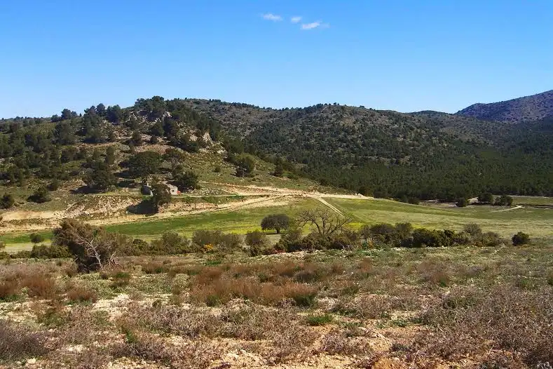 Terrenys i solars en venda a Lorca Ciudad, imagen 3