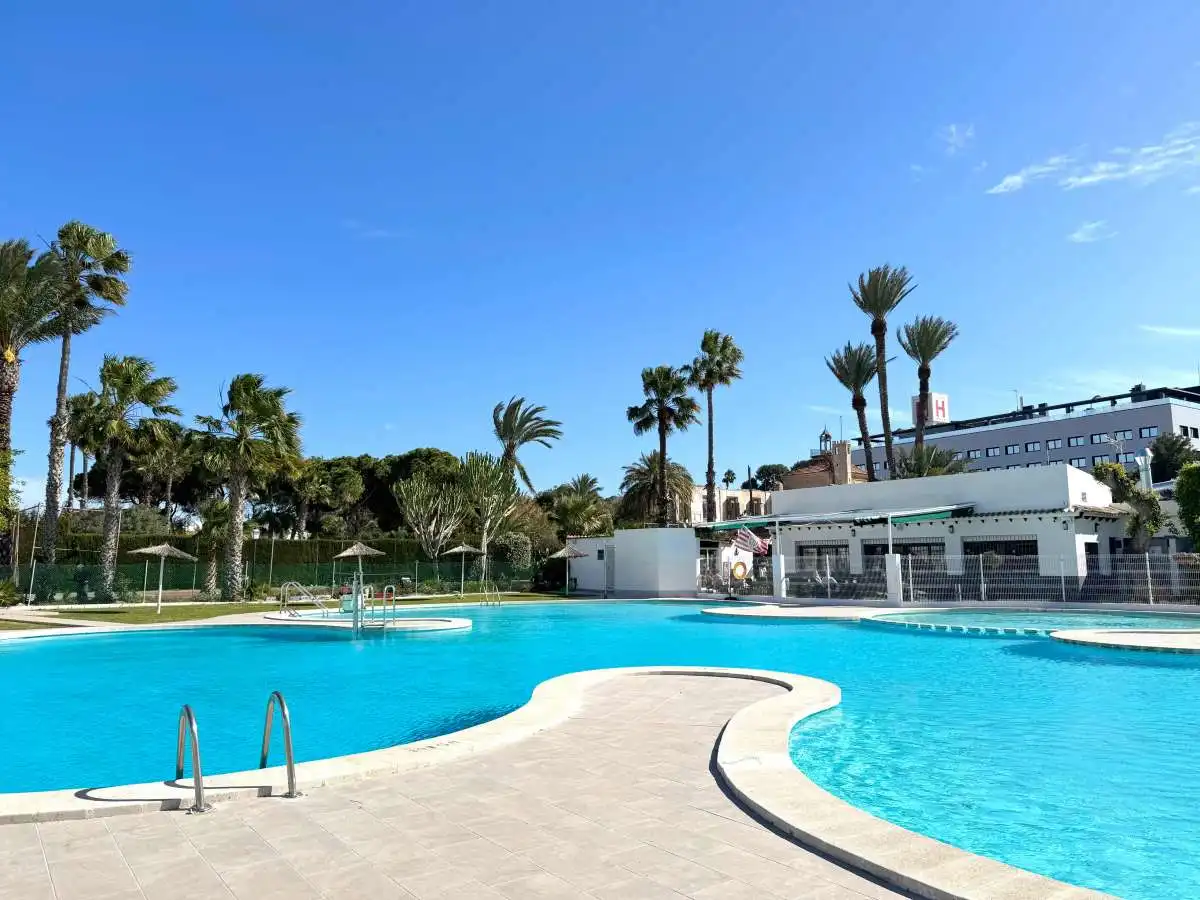 Piscina de Casa o chalet en venta en Torrevieja con Terraza, Amueblado y Piscina comunitaria