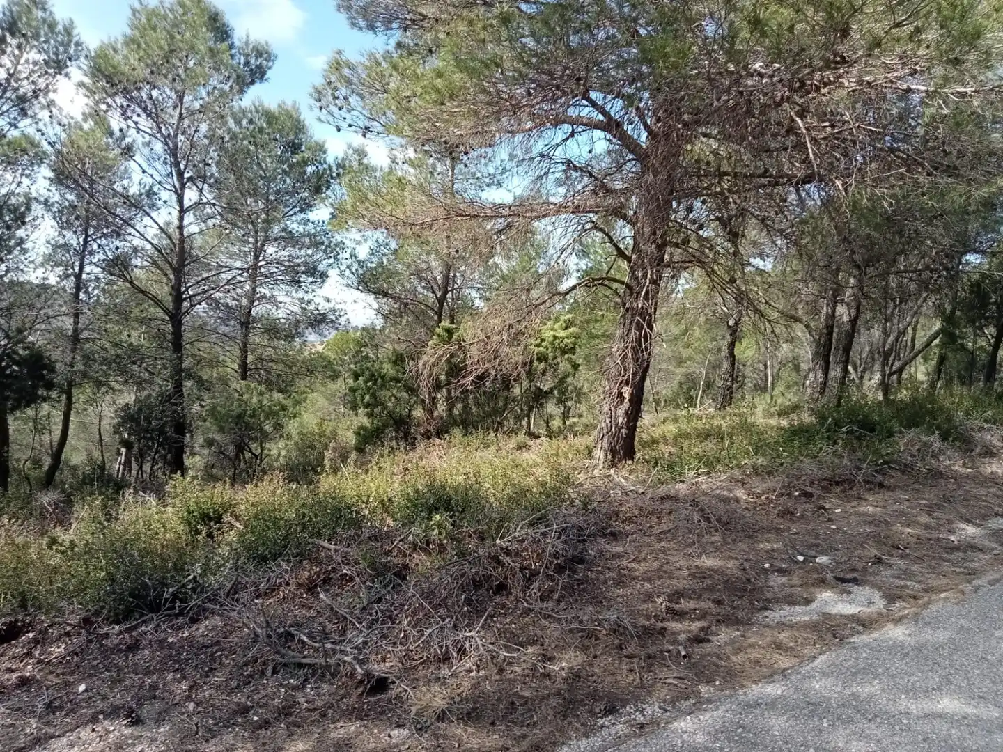 Residential land for sale in Calle Nueva Sierra CT, imagen 2