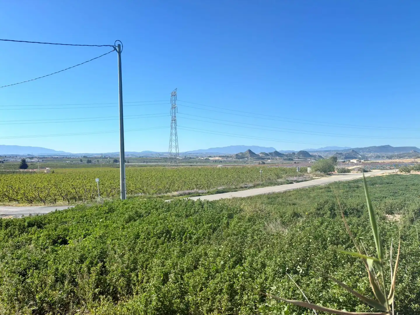 Casa o xalet en venda en Molina de Segura