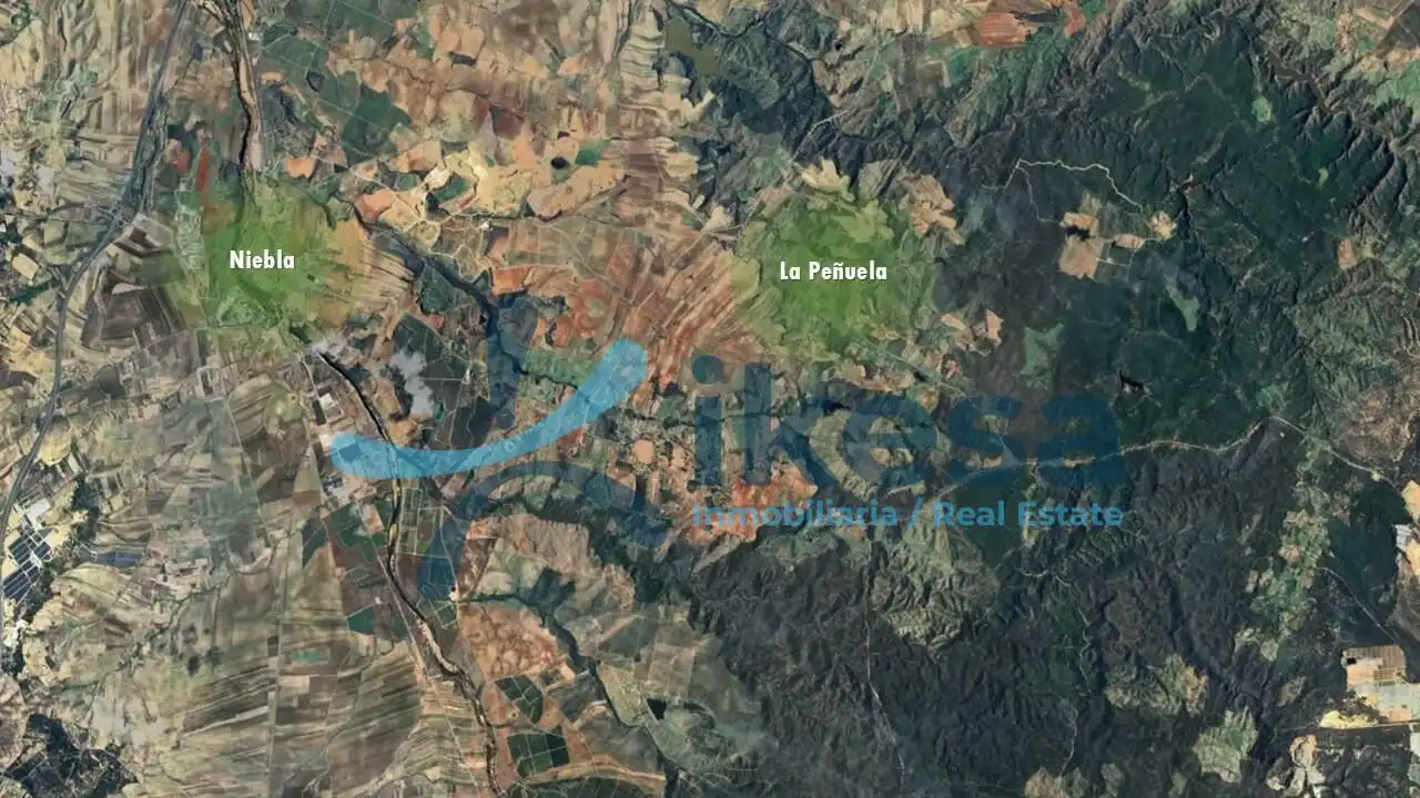 Rustikales Grundstück zum Verkauf in Niebla, imagen 4