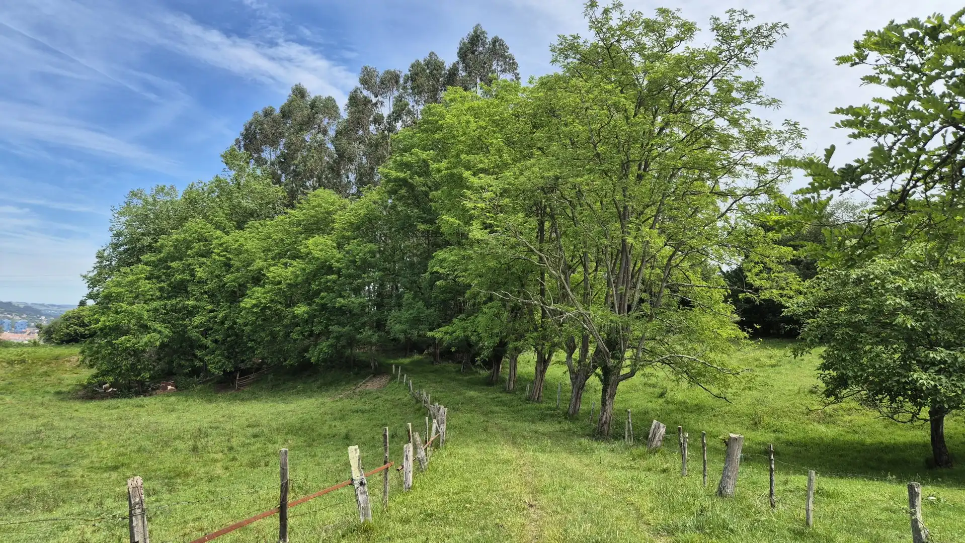 Maison avec jardin à vendre à Parroquias Sur - La Manjoya, imagen 14