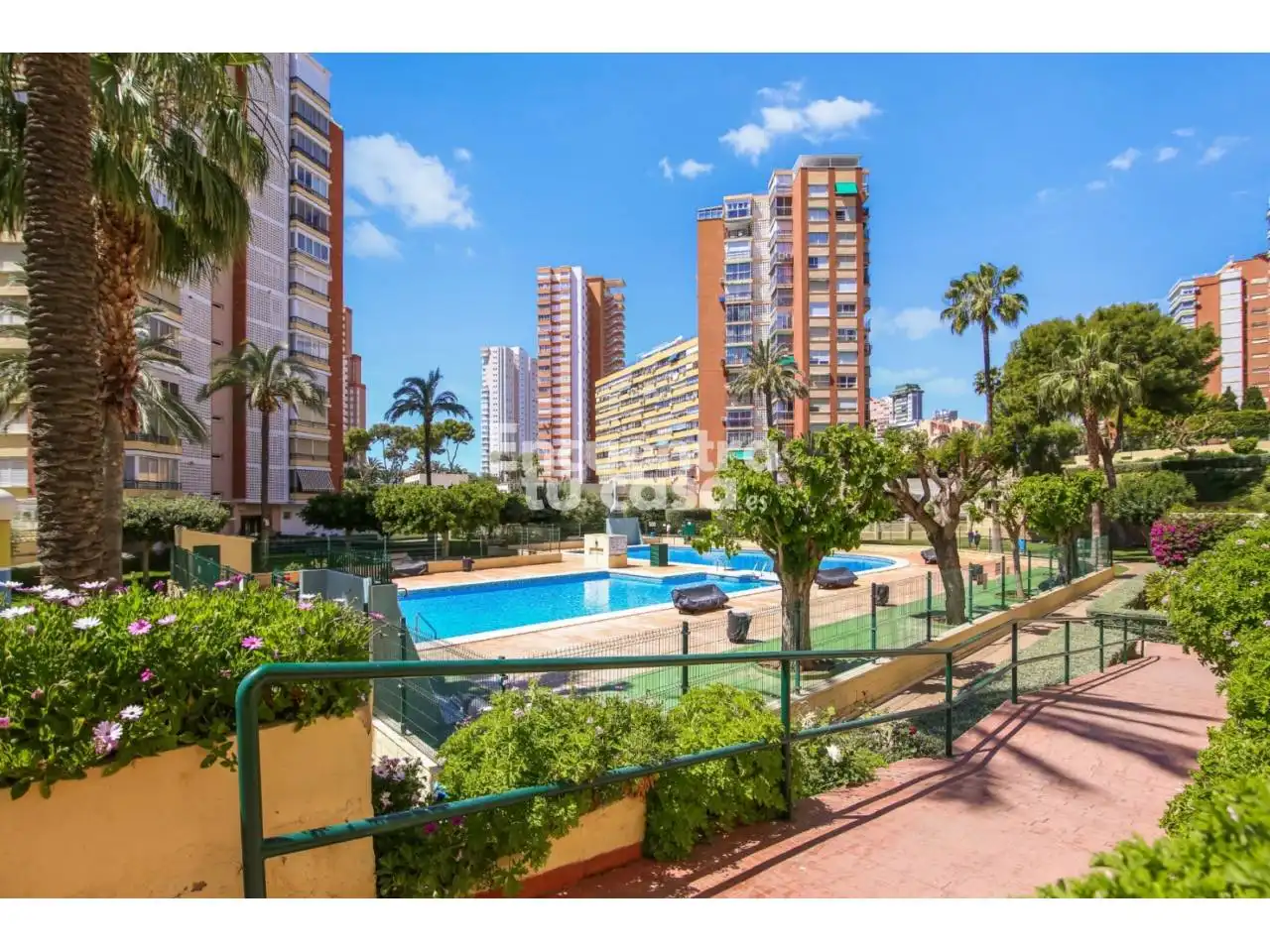 Vista exterior de Pis en venda en Benidorm amb Terrassa, Balcó i Piscina comunitària