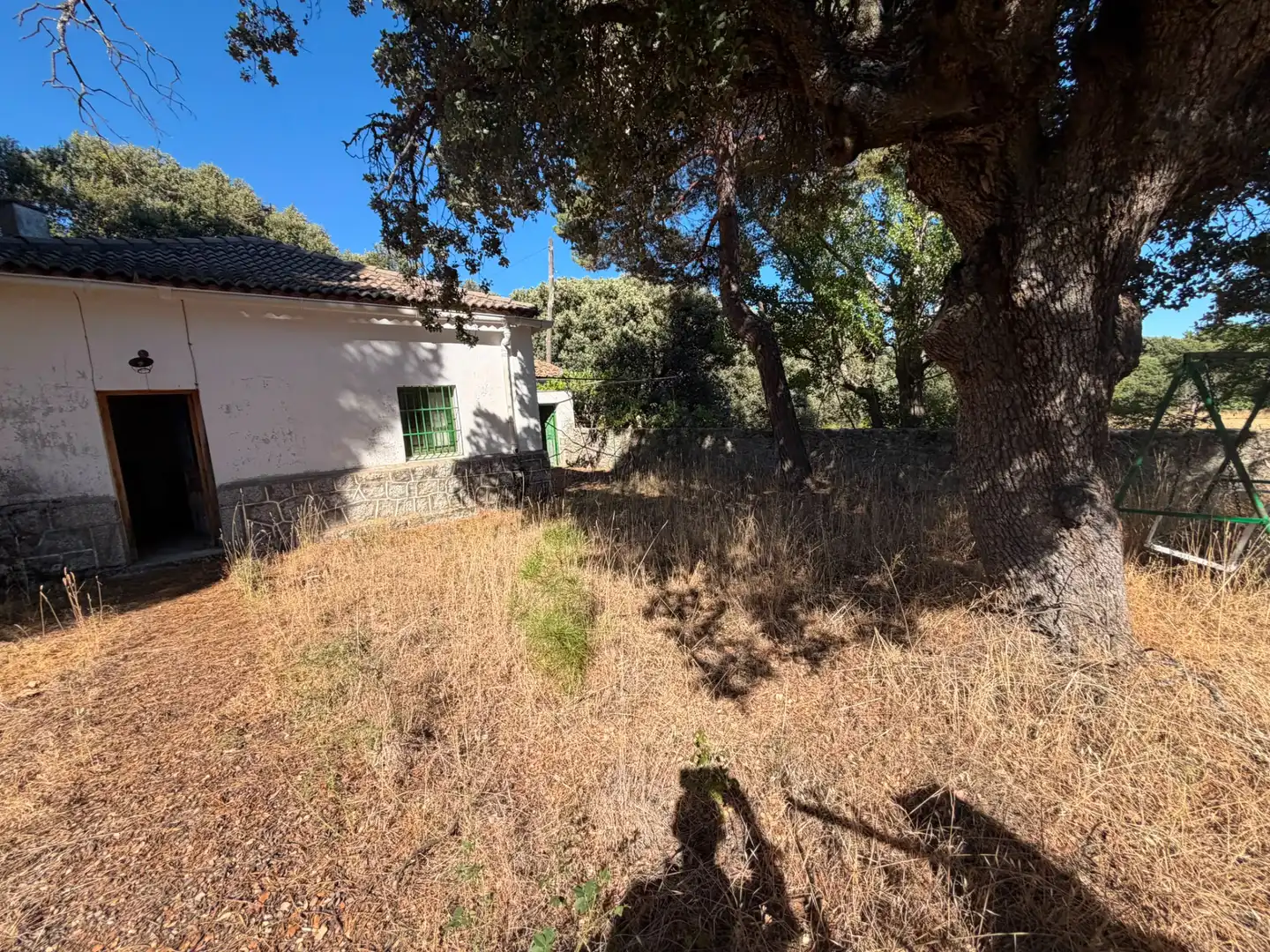 Finca rústica en venta en Muñana