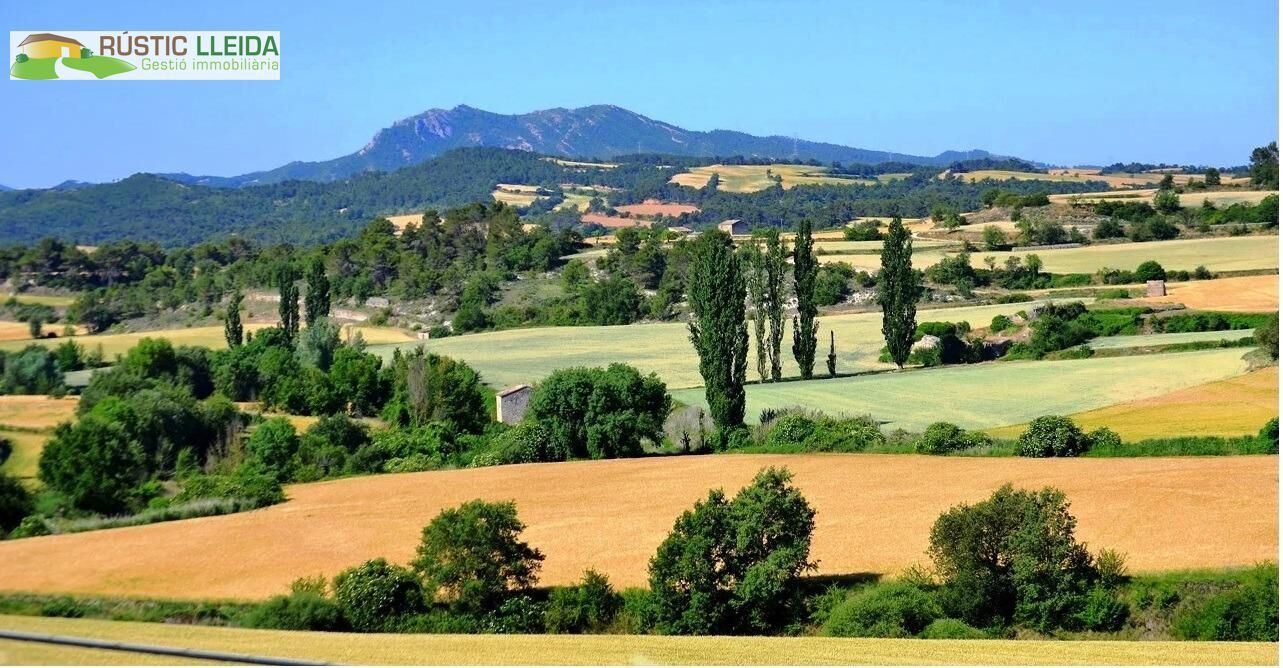 Außenansicht von Country house zum verkauf in Santa Coloma de Queralt