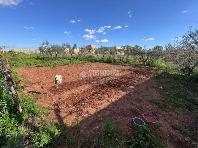 Finca rústica en Venta en Parque Atlántico- San Matías