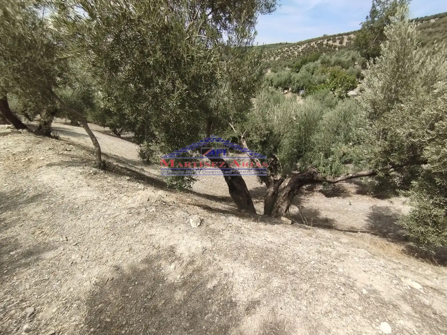 Terreni e lotti in vendita a Quesada