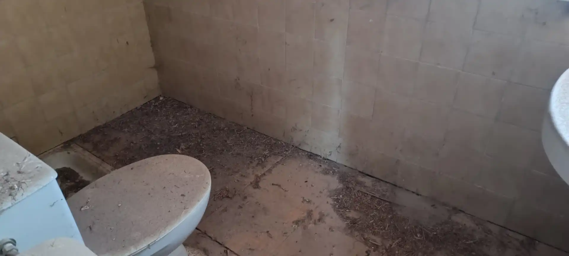 Bany de Finca rústica en venda en Callosa de Segura amb Jardí privat