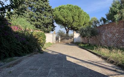 Garden of Country house for sale in Riumors