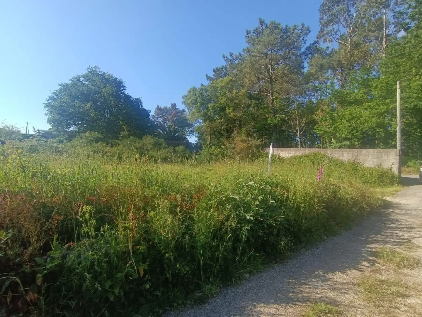 Terreno en venta en Tomiño