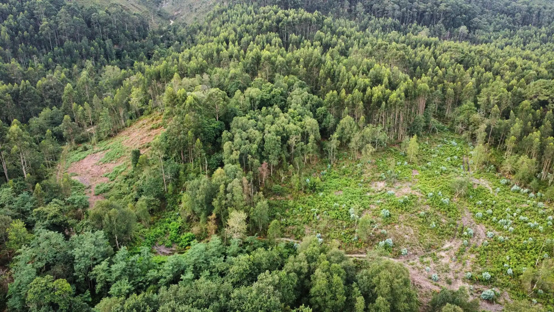 Terreno rustico in vendita a Pría - Nueva-Hontoria - Naves, imagen 13