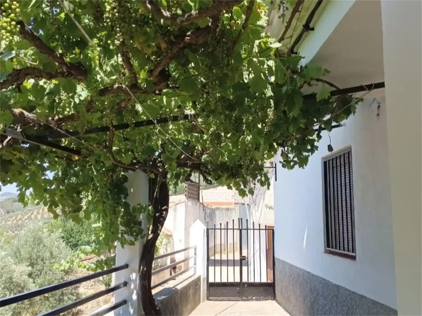 Vista exterior de Piso en venta en Villarrodrigo, Jaén