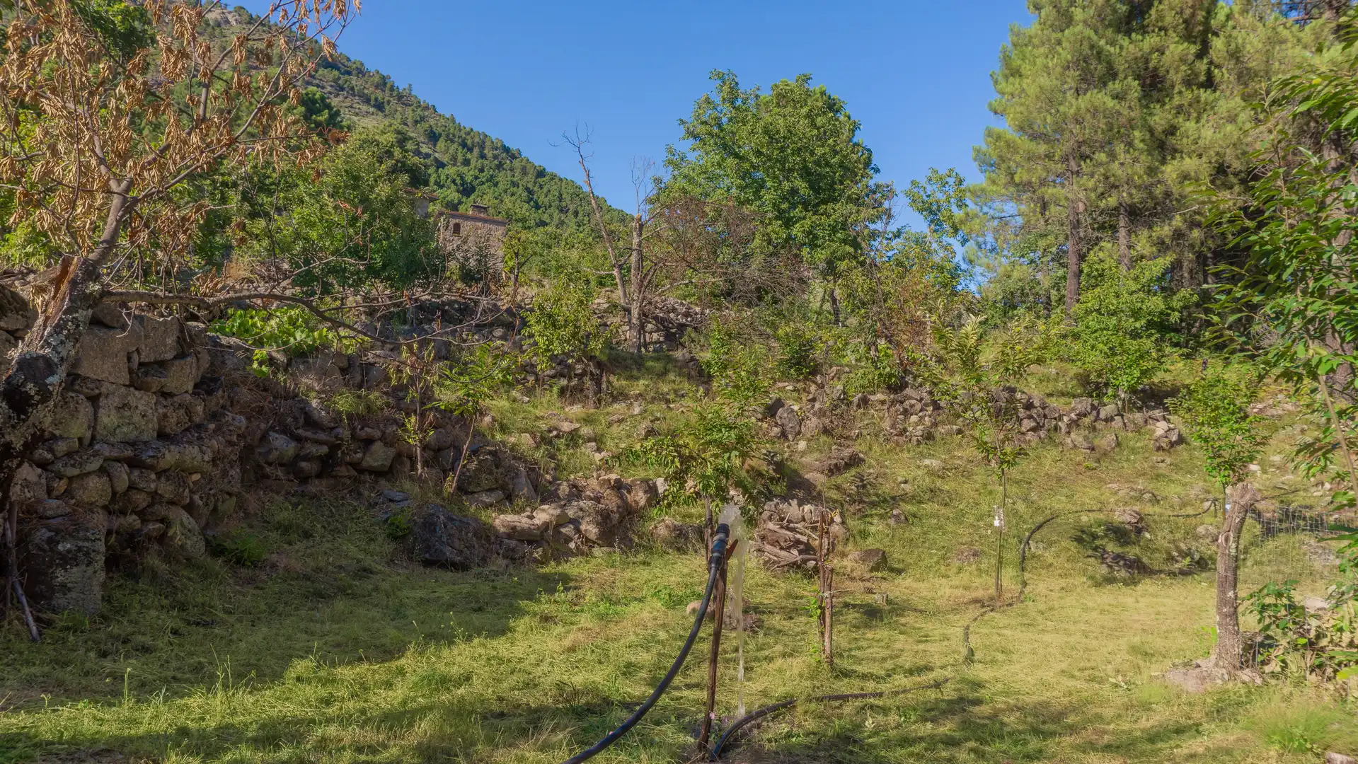 Casa o xalet en venda en El Hornillo 