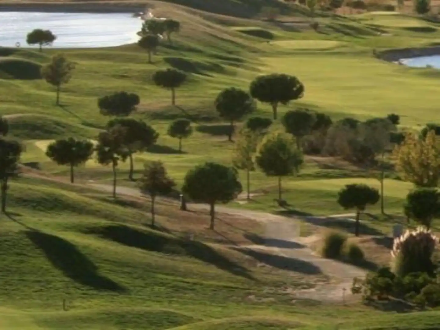 Exterior view of Detached homes for sale in Valdeolmos-Alalpardo