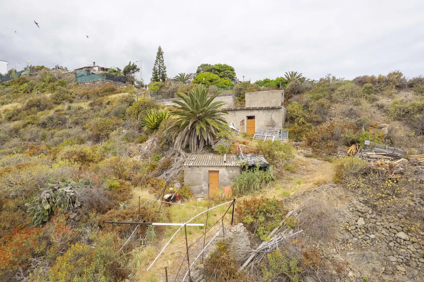Land for sale in La Guancha