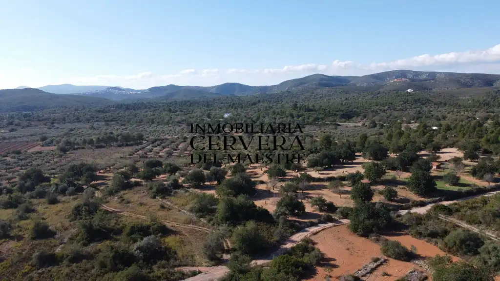 Terreno rustico in vendita a Cervera del Maestre, imagen 16