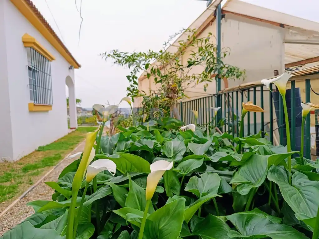 Jardí de Finca rústica en venda en Vélez-Málaga amb Aire condicionat, Jardí privat i Traster