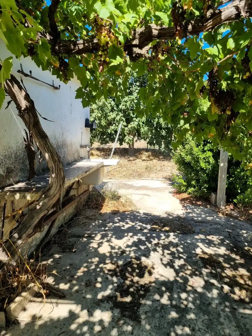 Lands and plots for sale in poligono 17 parcela 32, imagen 17