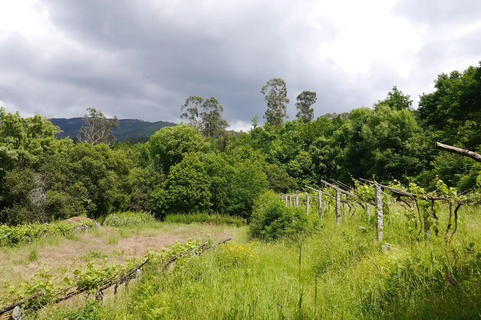 House for sale in Lugar Leirado, imagen 21