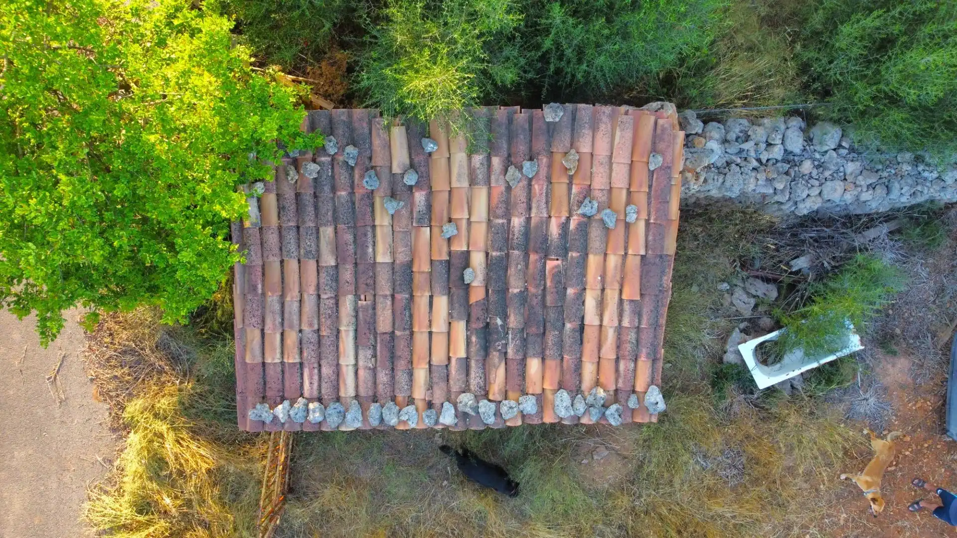 Terreno rustico in vendita a Santa Margalida Poble, imagen 14