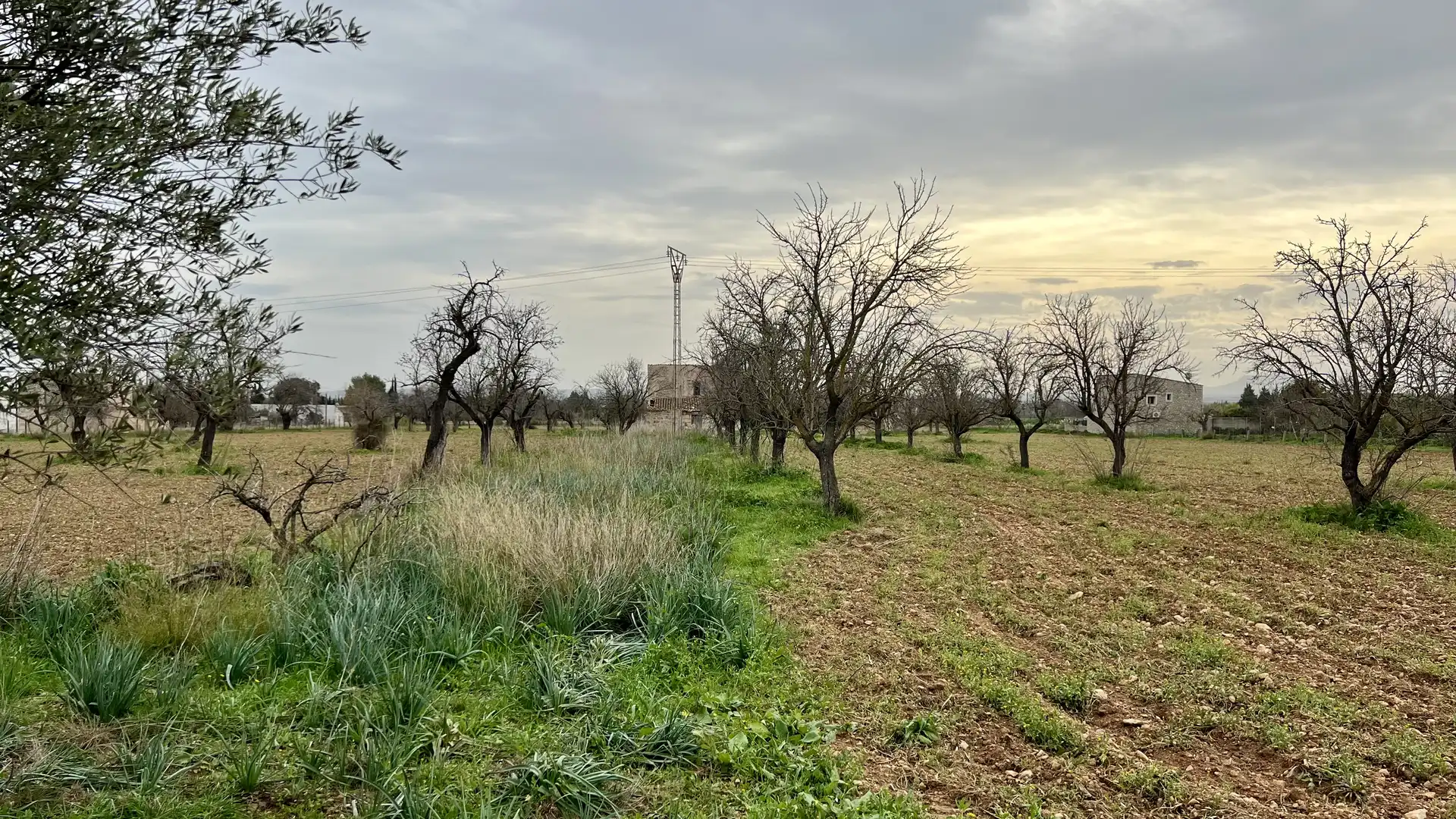 Maison rustique à vendre à Binissalem, imagen 3