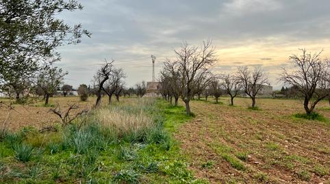 Photo 3 of Country house for sale in Binissalem, Illes Balears