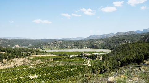 Foto 4 de Finca rústica en venta en Poligono 2, Xerta, Tarragona