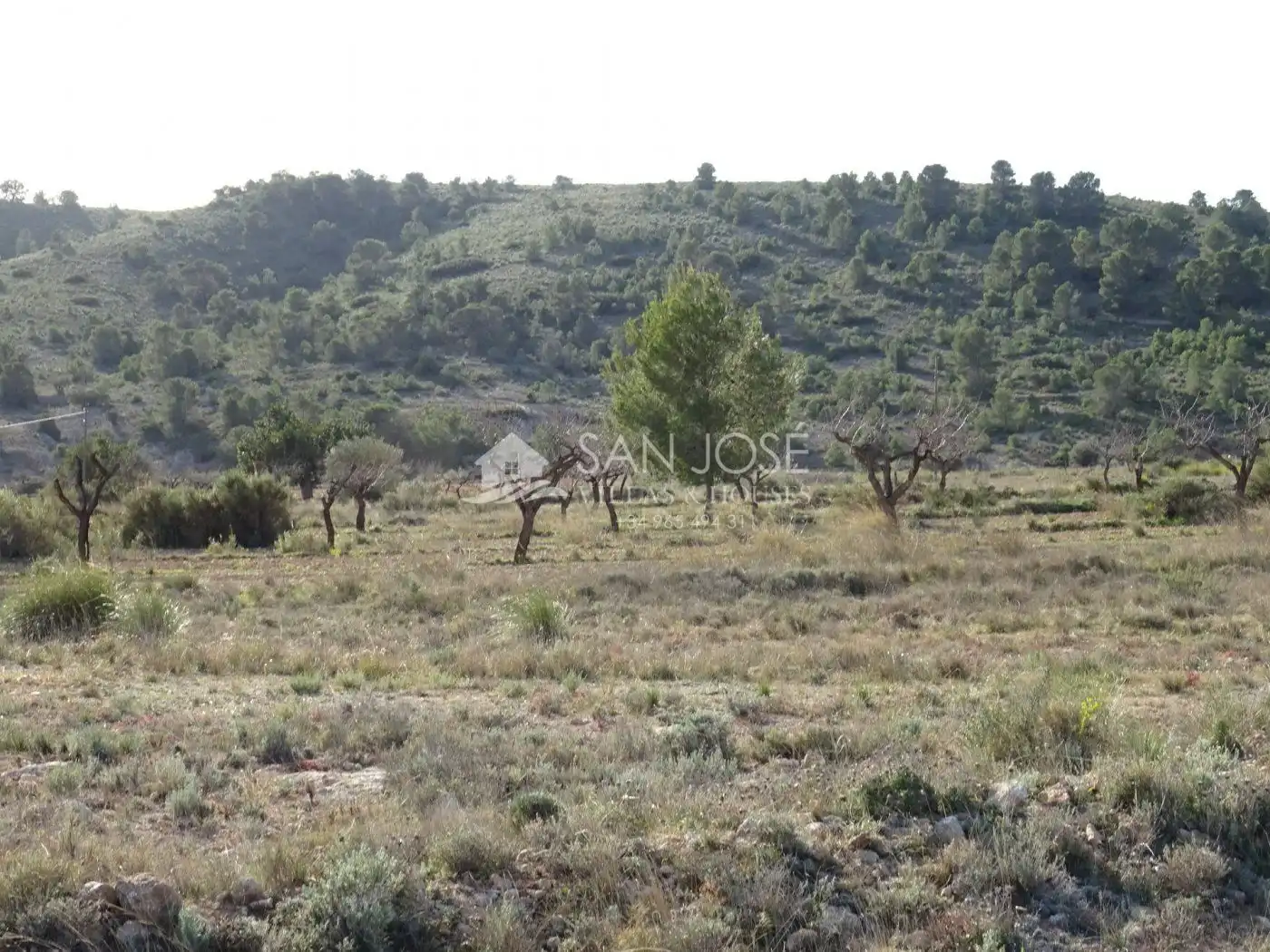 Rustikales Grundstück zum Verkauf in Hondón de las Nieves / El Fondó de les Neus, imagen 6