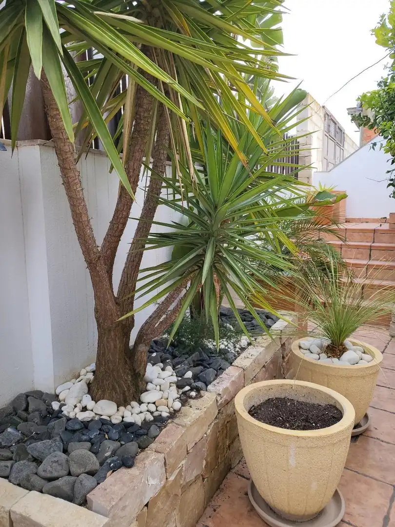 Terraza de Casa o chalet en venta en El Palomar con Aire acondicionado, Jardín privado y Terraza