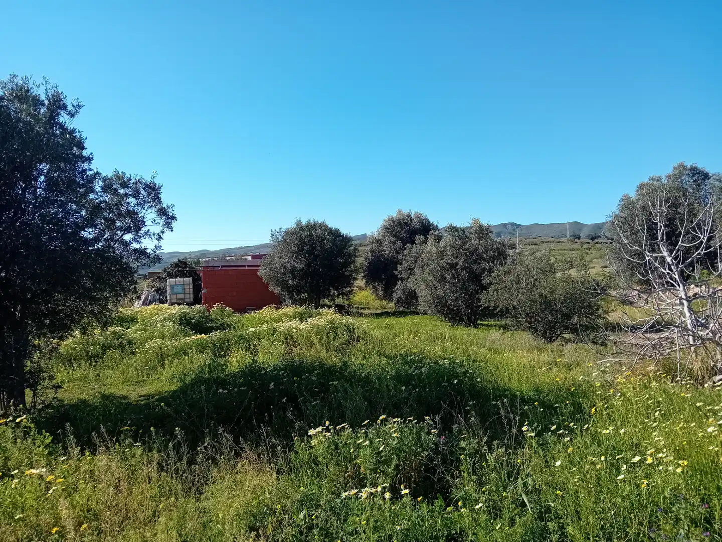 Land for sale in Cartagena