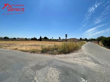 Terreno rústico en venta en DE LA HORMIGUITA