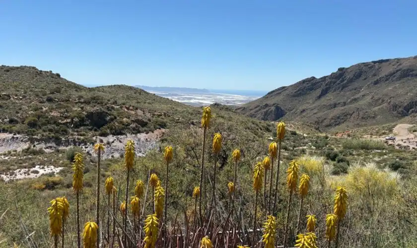 Terreny rústic en venda a Camino de Huebro, imagen 8