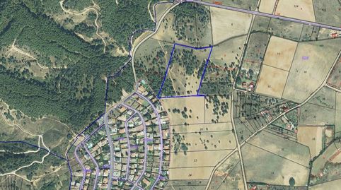 TERRENO RUSTICO EN LAS LOMAS PRECIO A CONSULTAR, imatge 3