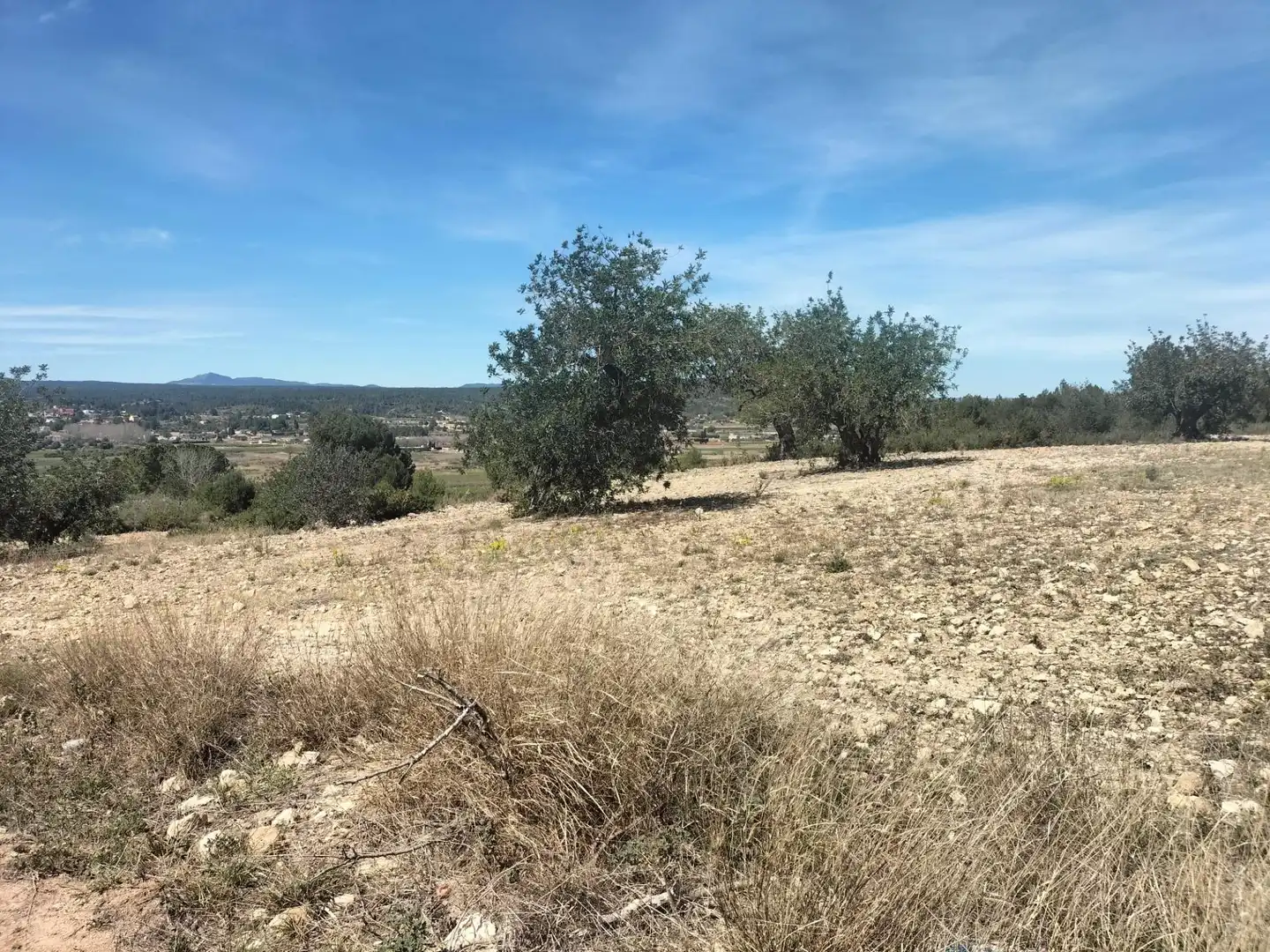 Terreno rustico in vendita a Navarrés, imagen 27