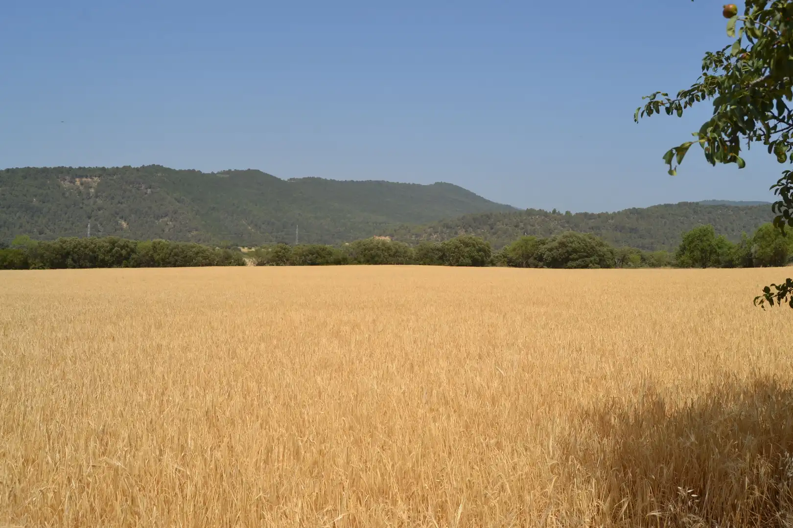 Finca rústica en venta en Murillo de Gállego con Terraza y Balcón