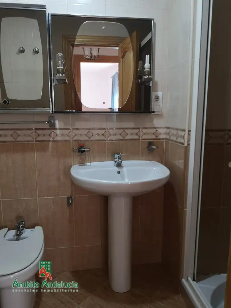 Bany de Apartament de lloguer en Granada amb Moblat