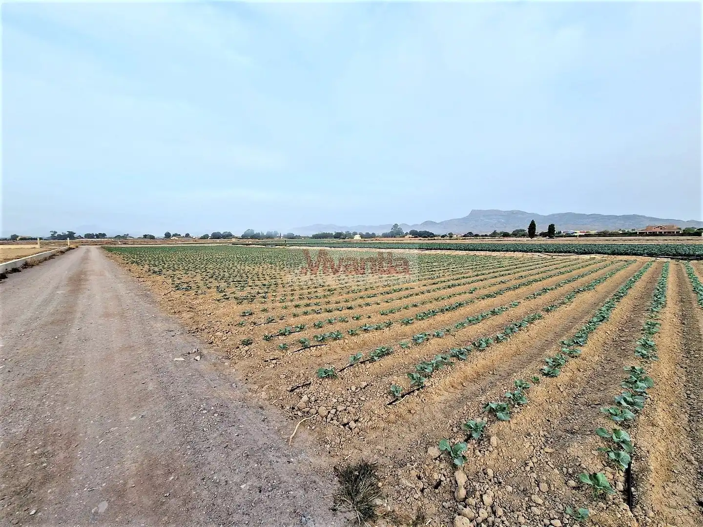 Residential land for sale in Pedanías Centro, imagen 5