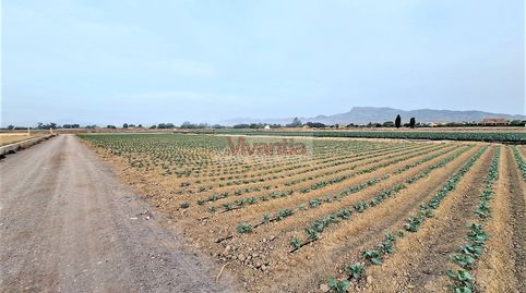 PARCELA - CAMPILLO - 8268 M2, Bild 5