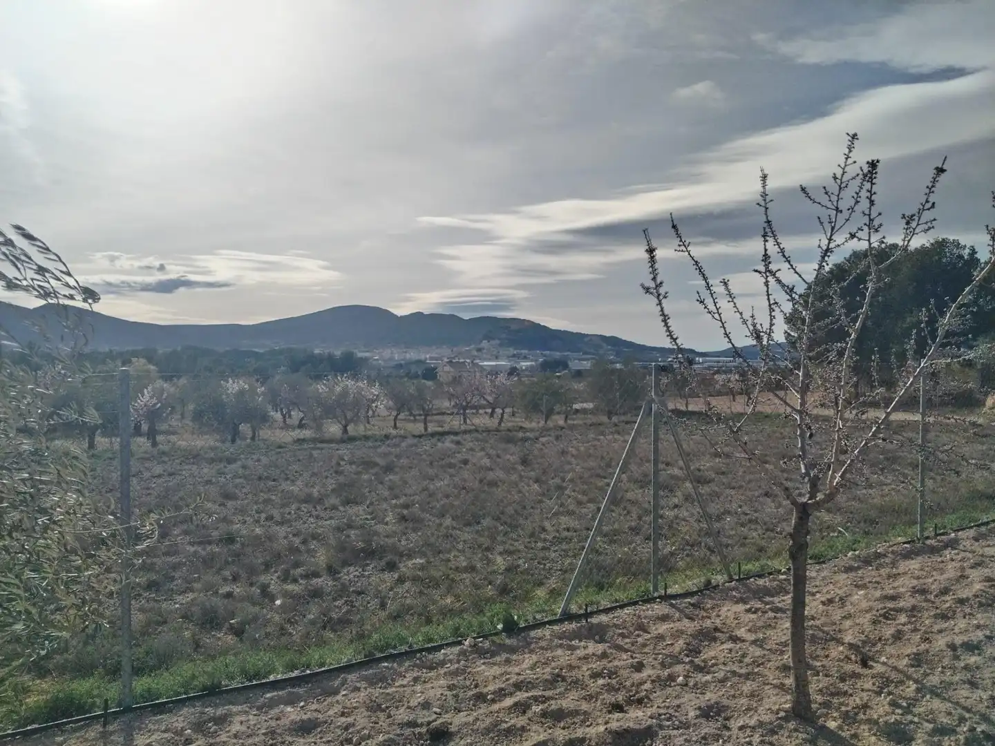Terreny rústic en venda a Partida de Castalla a Saix, imagen 27