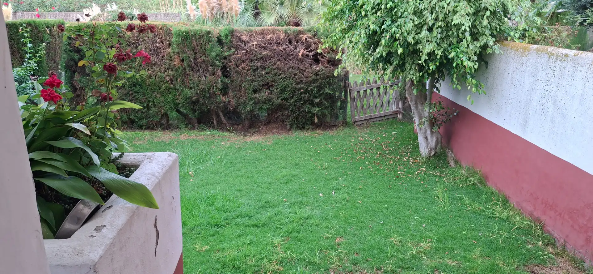 Casa a schiera con piscina in vendita a Calle Orquídea 6, imagen 2