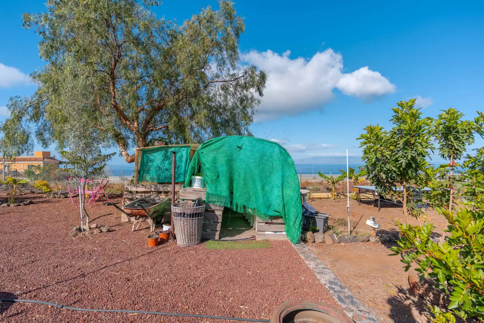 Exterior view of Country homes for sale in Guía de Isora  with Swimming Pool